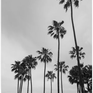 Meet your Posher, Elle